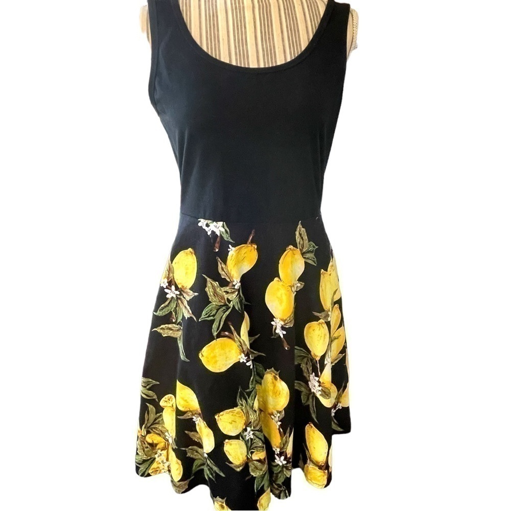 Black Lemon Print Sleeveless A-Line Dress